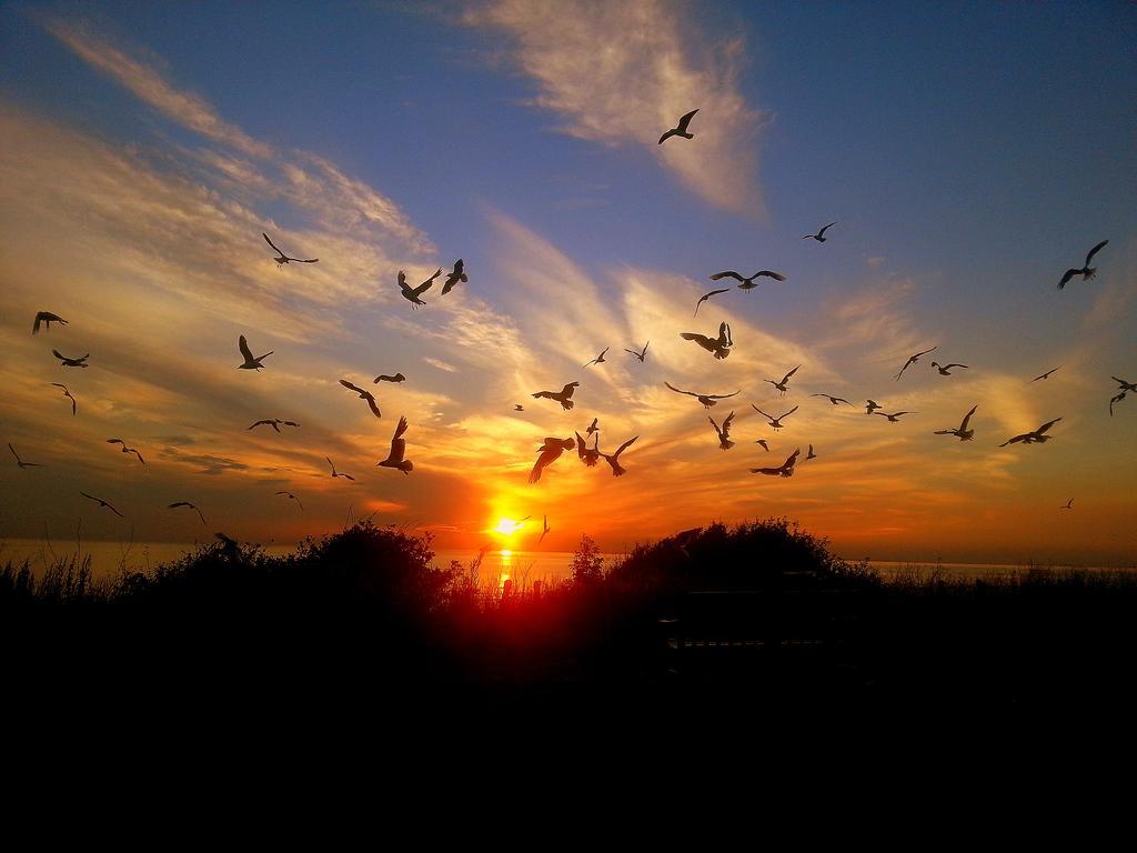 Sunset Guest House Hunstanton Buitenkant foto Sunset at the beach